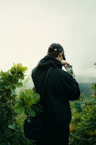 person in black hoodie photographing lush melany rubber plants in misty forest