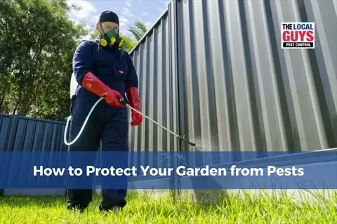 pest control spray garden: person in full protective gear applying insecticide with text 'how to protect your garden from pests' in a residential backyard