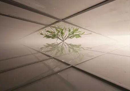 plant growing under geometric grid representing window obstructions with mirrored reflection, demonstrating obstruction impact assessment for light studies