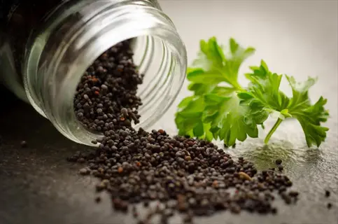 poppy seeds spilling from a repurposed glass spice shaker jar next to fresh parsley on a dark surface