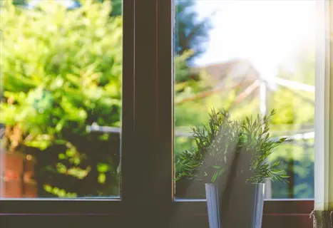 potted plant on window sill receiving sunlight, overlooking a lush garden with trees and bright outdoor lighting