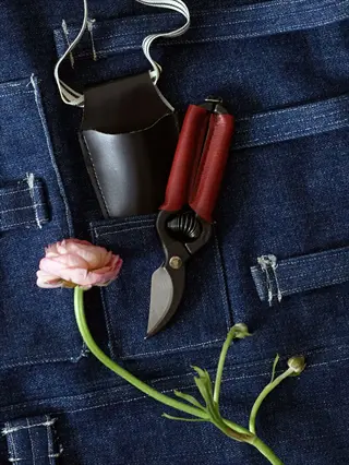 pruning bonsai scissors with red handles on denim gardening apron featuring tool sheath and pink ranunculus flower