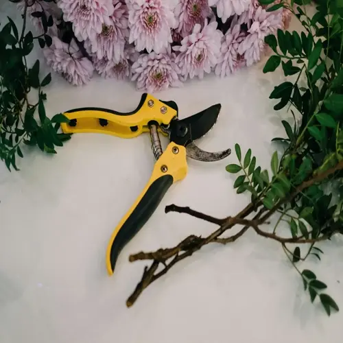pruning shears garden closeup with pink flowers and green foliage