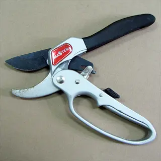 ratchet garden pruners with black grip handles, silver metal body, and visible 'master' branding