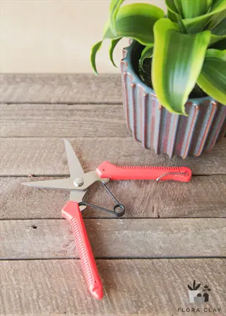 red-handled garden scissor shears on wooden surface with potted plant background