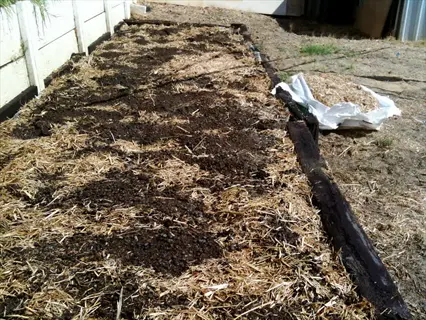 residential garden bed with nutrient-rich compost mulch enhancing soil moisture and fertility beside mulch bag