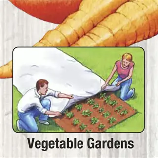 row covers vegetable garden: illustration of two people installing protective fabric over a plant bed with 'vegetable gardens' text and carrot graphic