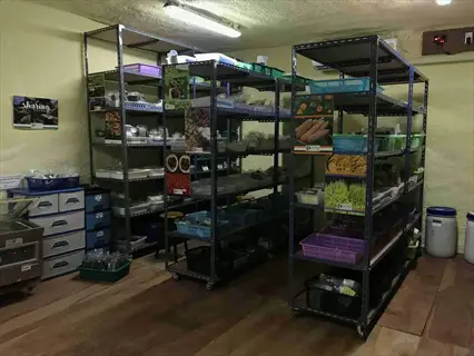 shelving unit with vacuum-sealed containers and seed storage in a storage room