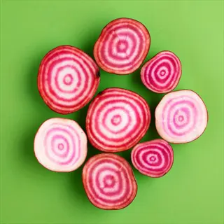 sliced chioggia beet cross-sections showing concentric red-white rings on green background