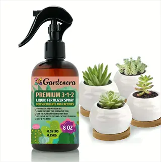 succulent roots misting spray: gardenera premium 3-1-2 liquid fertilizer spray bottle with four potted succulents in white ceramic pots on wooden coasters