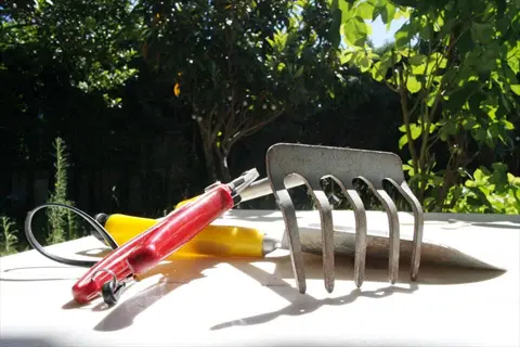 sunlit garden tools including a metal garden hoe for weeding, pruning shears, and a trowel on an outdoor table