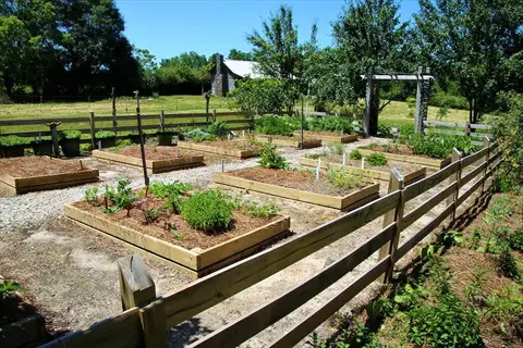 sunny outdoor vegetable container garden featuring multiple raised wooden beds, gravel paths, and wooden fence in a rural setting