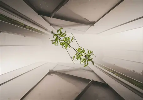 suspended green plant in controlled environment with geometric light panels, demonstrating plant light response for scientific monitoring