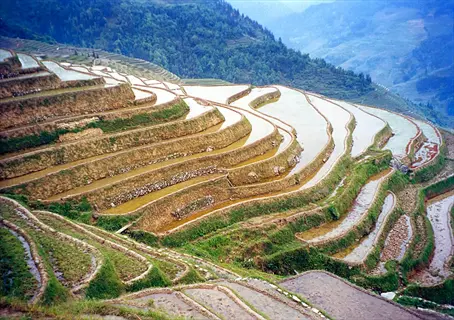 terraced contour farming slopes with water-filled terraces against misty mountains