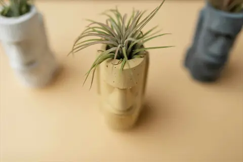 three air plants ceramic holder with carved facial features on beige background