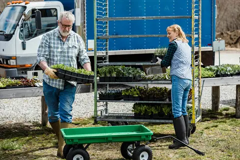 two gardeners handling garden cart and seedling trays outdoors at a nursery, with plant racks and truck in background