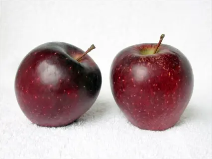 two red delicious apples with stems on white background