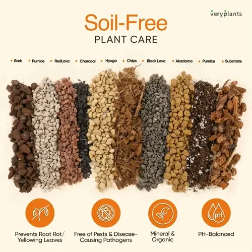 veryplants soil-free plant care mix components (bark, pumice, lava, etc.) and benefits, specialized succulent soil mix for healthy plants