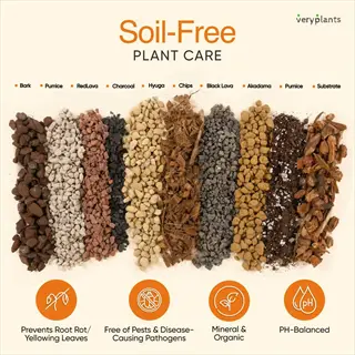 veryplants' soil-free succulent cactus soil mix with bark, pumice, lava and akadama components for optimal drainage and plant health