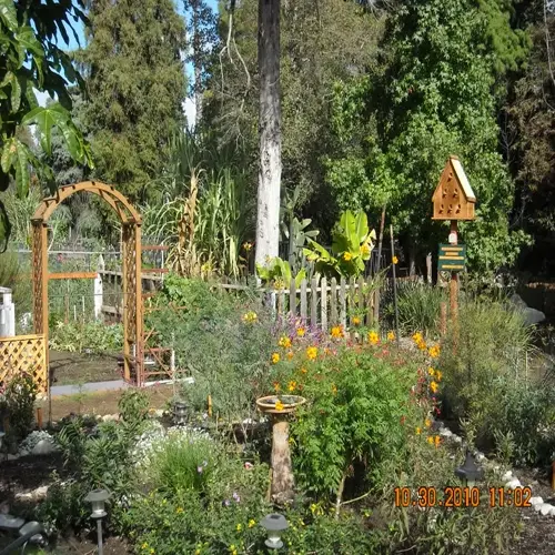 vibrant butterfly garden backyard with blooming flowers, wooden arbor, birdhouse, and lush greenery under a clear blue sky