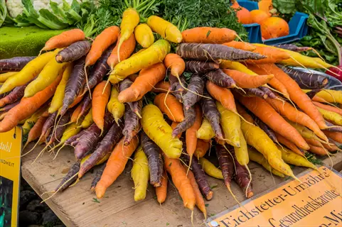 vibrant long imperator carrots in orange, yellow, and purple piled at a market stand with german informational signs and surrounding vegetables