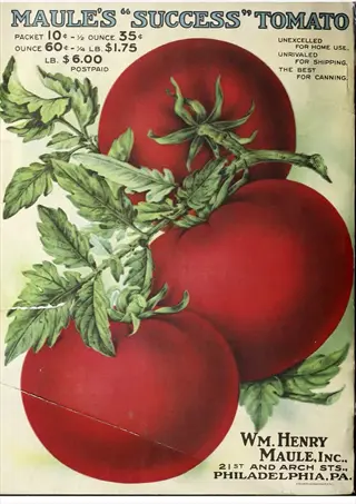 vintage maule's success tomato seed packet advertisement with ripe tomatoes illustration and pricing details