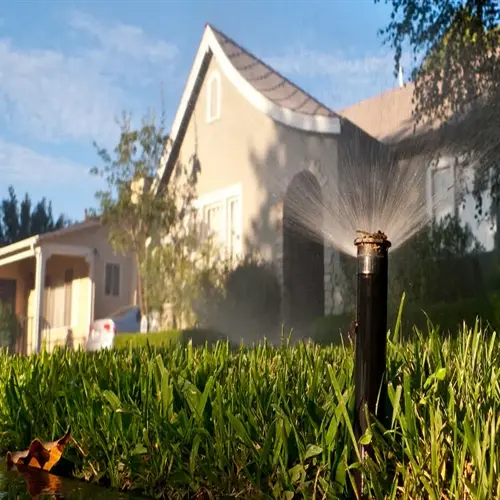 water conservation home garden: sprinkler irrigating lush lawn in residential front yard
