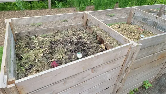 wooden compost bins with wood chip compost piles and thermometers