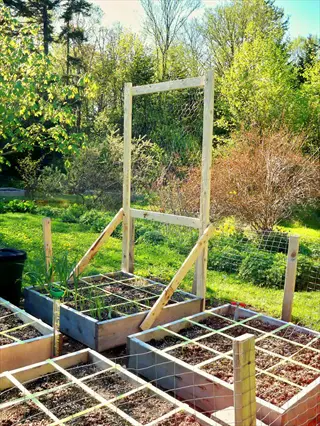 wooden panel trellis in a vegetable garden with raised beds and lush greenery