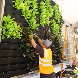 worker maintaining vertical fabric wall planter pockets system with lush plants in urban setting