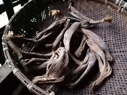 woven bamboo basket containing multiple dried banana peels with dark brown dehydrated texture and fibrous ends